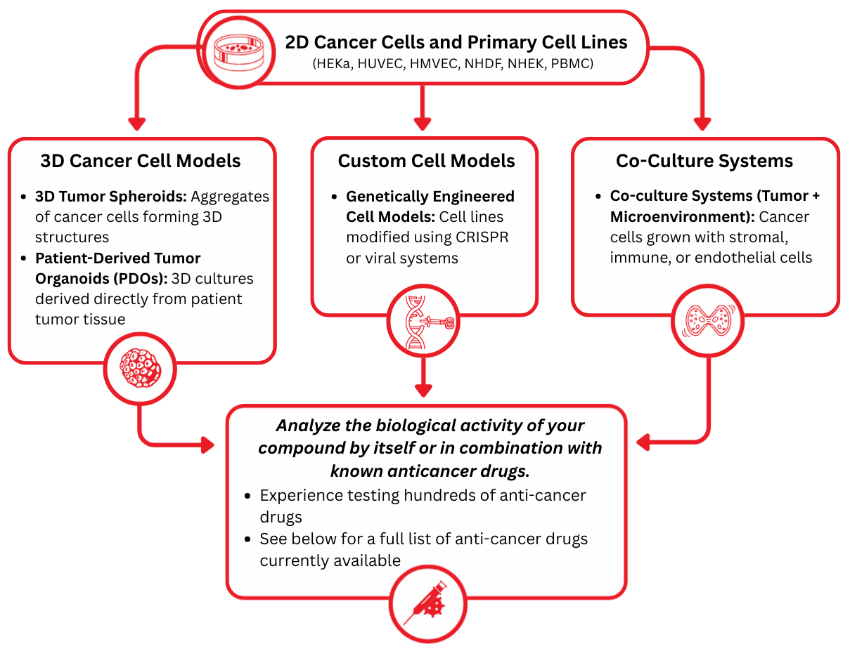 2D Cancer Cells and Primary Cell Lines (2)-1