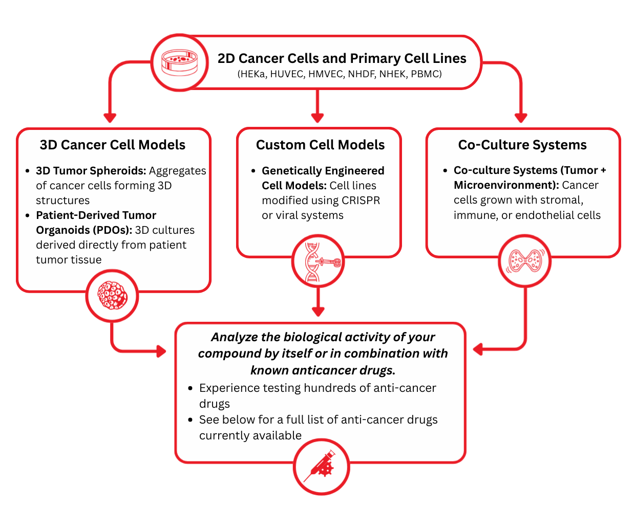 2D Cancer Cells and Primary Cell Lines (3)-1