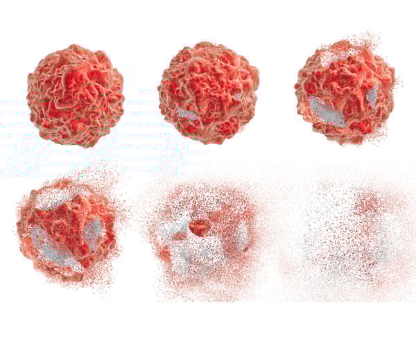 Antibody-Drug Conjugates (ADCs) Analytical Characterization Drug-to-antibody ratio (DAR) by HIC-HPLC Functional Potency Cell-killing mechanisms Proliferation inhibition (MTTXTT), apoptosis (caspas