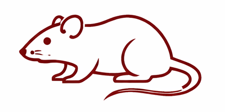 ChatGPT Image Apr 1, 2026, 04_34_41 PM-2