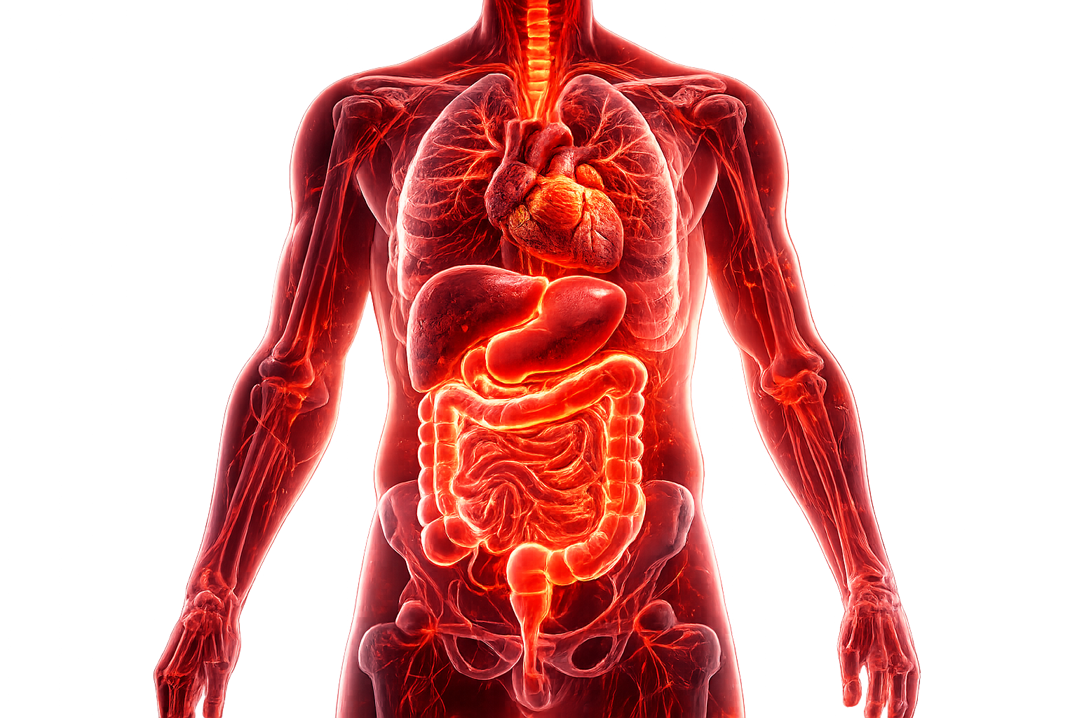 ChatGPT Image Jan 27, 2026, 04_27_53 PM ChatGPT Image Jan 27, 2026, 04_27_53 PM