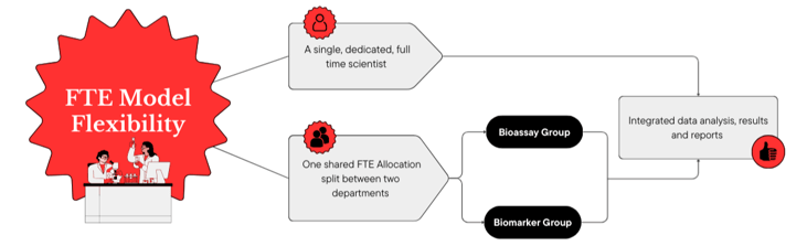 FTE Model Options-1-1