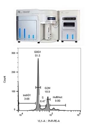 FACS_analysis2