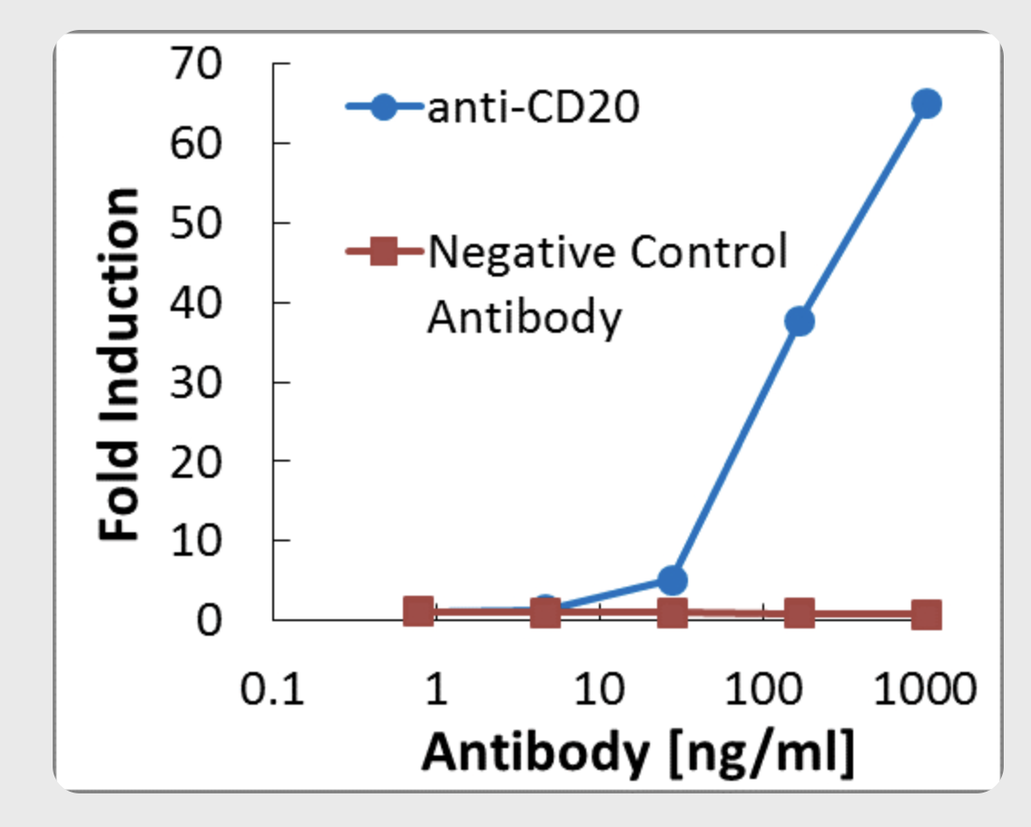 Screenshot 2026-01-28 at 5.32.00 PM Screenshot 2026-01-28 at 5.32.00 PM