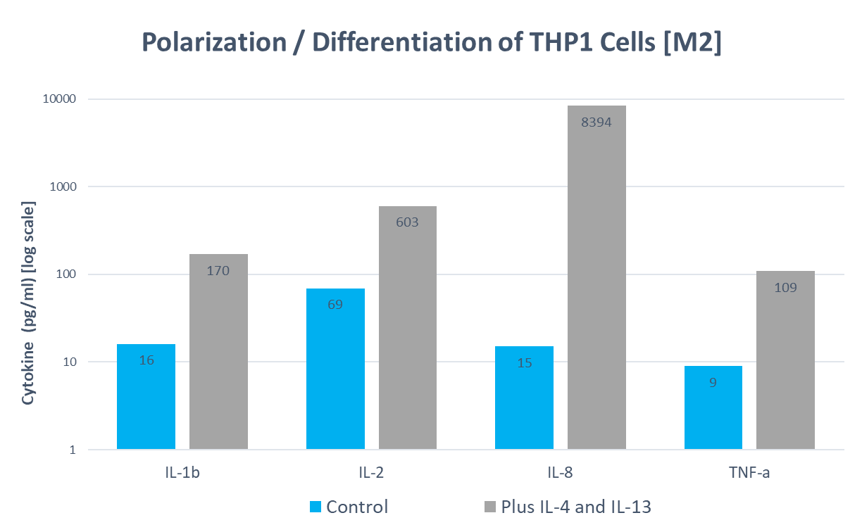 THP_1_M2