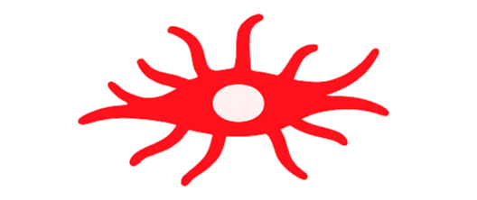 ChatGPT Image Jan 19, 2026, 12_05_01 PM-1-1-1