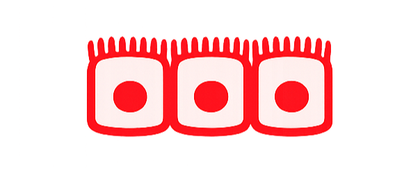 ChatGPT Image Jan 19, 2026, 12_05_01 PM-2-1