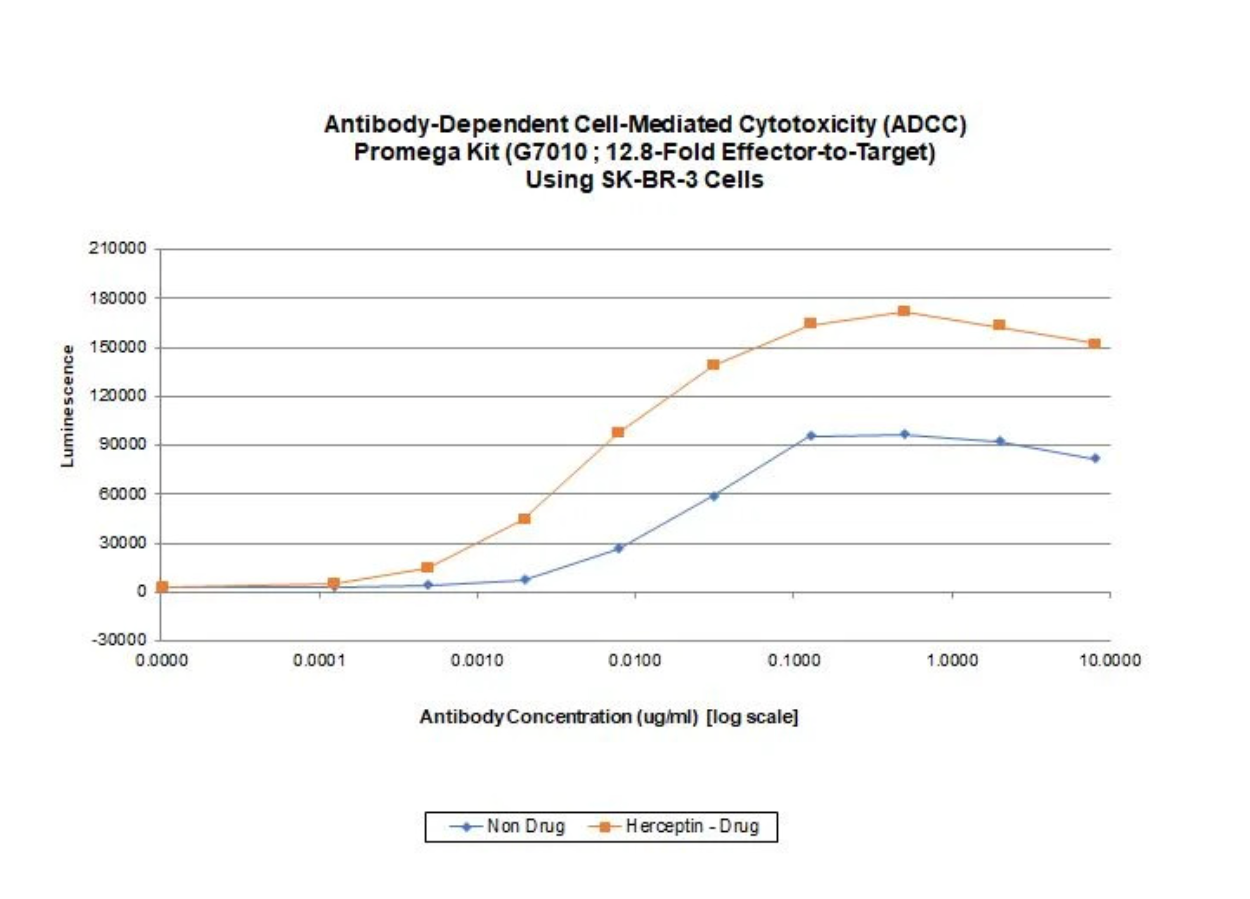 Screenshot 2026-01-28 at 5-35-01 PM