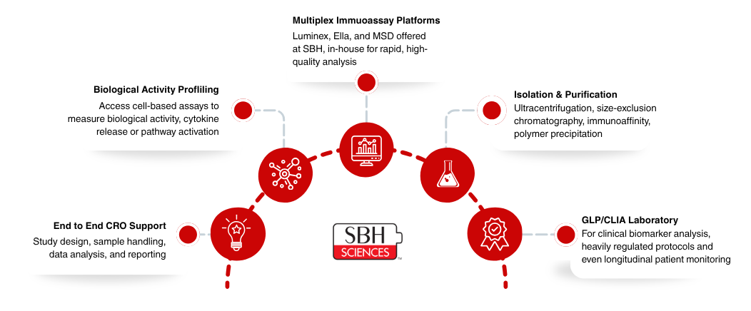 Untitled design (23)-1